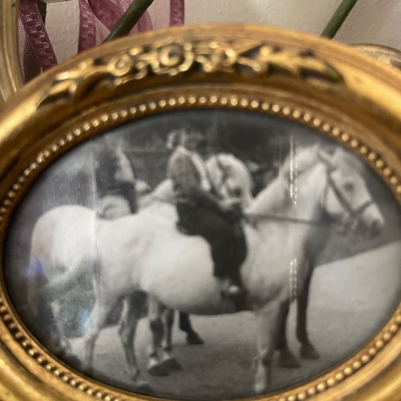 Meet your Posher, Victoria - Picture 15 of 17